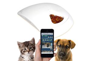 feed and go automatic pet feeder