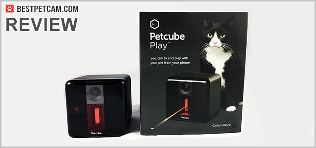 Petcube Play review